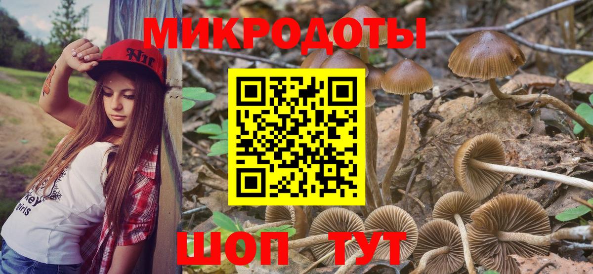 Галлюциногенные грибы Magic Shrooms Северобайкальск