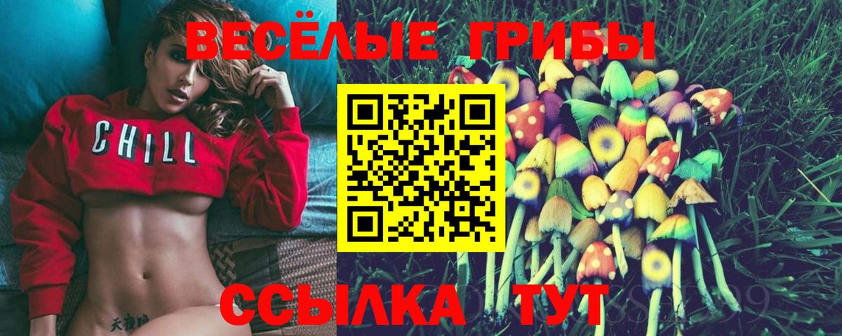 Галлюциногенные грибы мухоморы  Псилоцибиновые грибы Magic Shrooms  Северобайкальск  Вход с VPN 